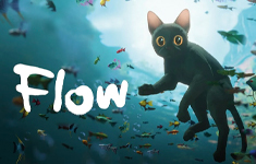 Flow