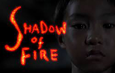 Shadow of fire