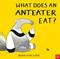 What Does An Anteater Eat?