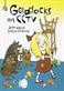 Goldilocks on CCTV : poems