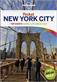 Pocket New York City : top sights, local life, made easy