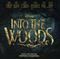 Into the woods : an original Walt Disney Records soundtrack