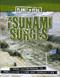 Tsunami surges : <from catastrophe to rebuilding lives and communities>