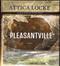 Pleasantville : a novel