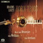 Horn trios