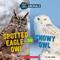Spotted Eagle-Owl or Snowy Owl (Wild World: Hot and Cold Animals)