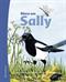 Mera om Sally : en faktabok om skatan