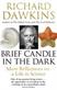 Brief Candle in the Dark