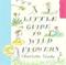 A Little Guide To Wild Flowers