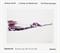 The piano sonatas. Vol. 7
