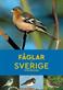 Fåglar i Sverige och Nordeuropa