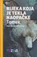 Rijeka koja je tekla naopacke Tomek