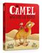 The Camel Who Had The Hump Board Book