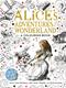 The Macmillan Alice Colouring Book