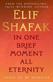 In One Brief Moment All Eternity