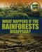 What happens if the rainforests disappear?