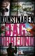 Konstnären