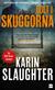 Dolt i skuggorna : en Will Trent-deckare