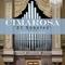 21 Organ Sonatas