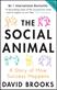 The social animal : <a story of how success happens>