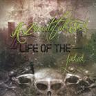 Life Of The Jaded