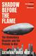 Shadow before the flame : the Hindenburg disaster and the prelude to war