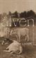 Älven : roman