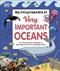 My encyclopedia of very important oceans