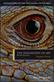 The Philosophy of Art