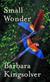 Small wonder : <essays>