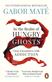 In the realm of hungry ghosts : close encounters with addiction