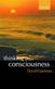 Thinking about Consciousness