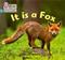 It is a Fox