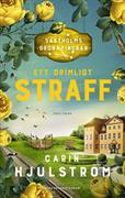 Ett orimligt straff : <cosy crime>