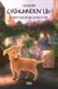 Gatuhunden Lilo : berättelsen om hur Lilo får ett hem