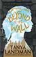Beyond the wall