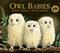 Owl babies