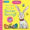 Can You Find The Easter Bunny?