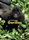 Gorillor : en spännande upptäcktsresa i Kongo