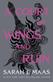 A court of wings and ruin