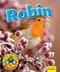 Wildlife Watchers: Robin