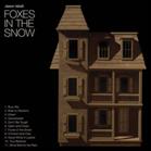 Foxes in the snow