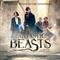 Fantastic Beasts and Where to...