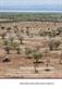 Resilient pastoralism : a cultural analysis of navigating climate change, modernity and the development industry in northern Kenya
