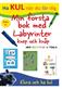 Min Första bok med Labyrinter, knep och knåp : Med Supertuben Tekla