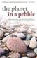 The Planet in a Pebble
