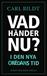 Vad händer nu? : I den nya oredans tid
