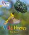 Wild Homes