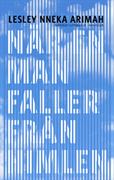 När en man faller från himlen : <noveller>