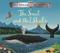 The snail and the whale